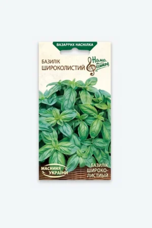 რეჰანის  თესლი Shirokolistniy