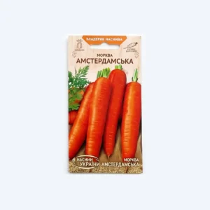 Carrot seeds Amsterdamskaya