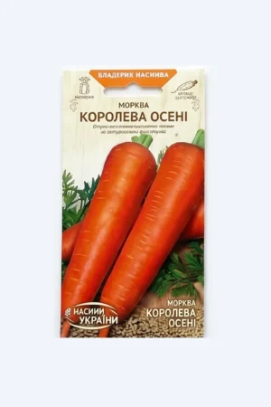 სტაფილოს თესლი Koroleva Oseni