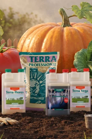 Mineral Nutrients